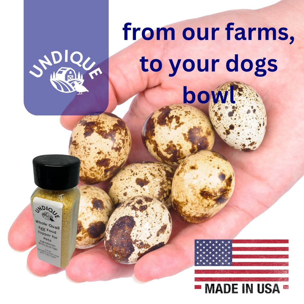 Quailicious Boost Pet Food Enhancer - Healthy Dog Food Topper with Whole Quail Eggs - Pet Health Supplements for Energy, Immune Function, Shiny Coat & Skin - Omega-3 & Omega-6 Rich - Elite Pet Collective