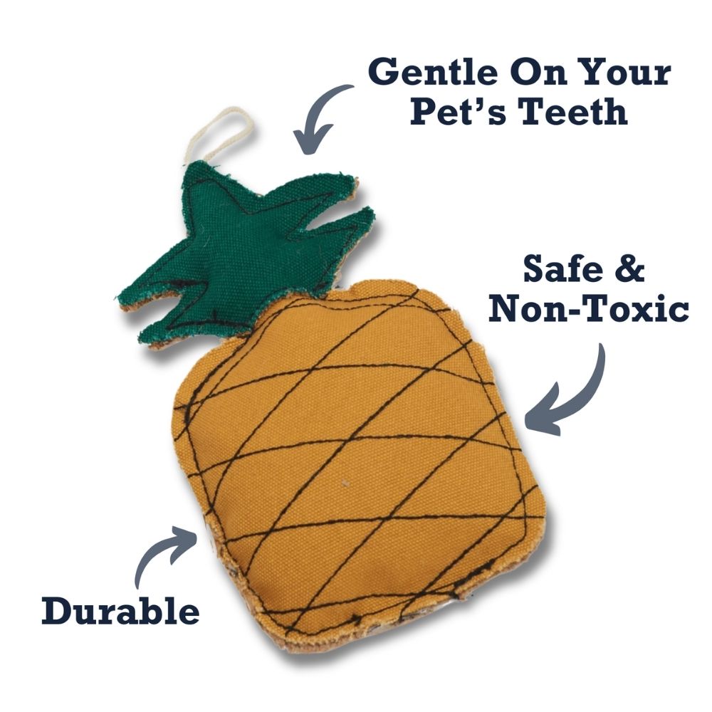 Country Living Canvas & Jute Pineapple-Shaped Dog Chew Toy – Durable, Safe and Non-Toxic - Elite Pet Collective