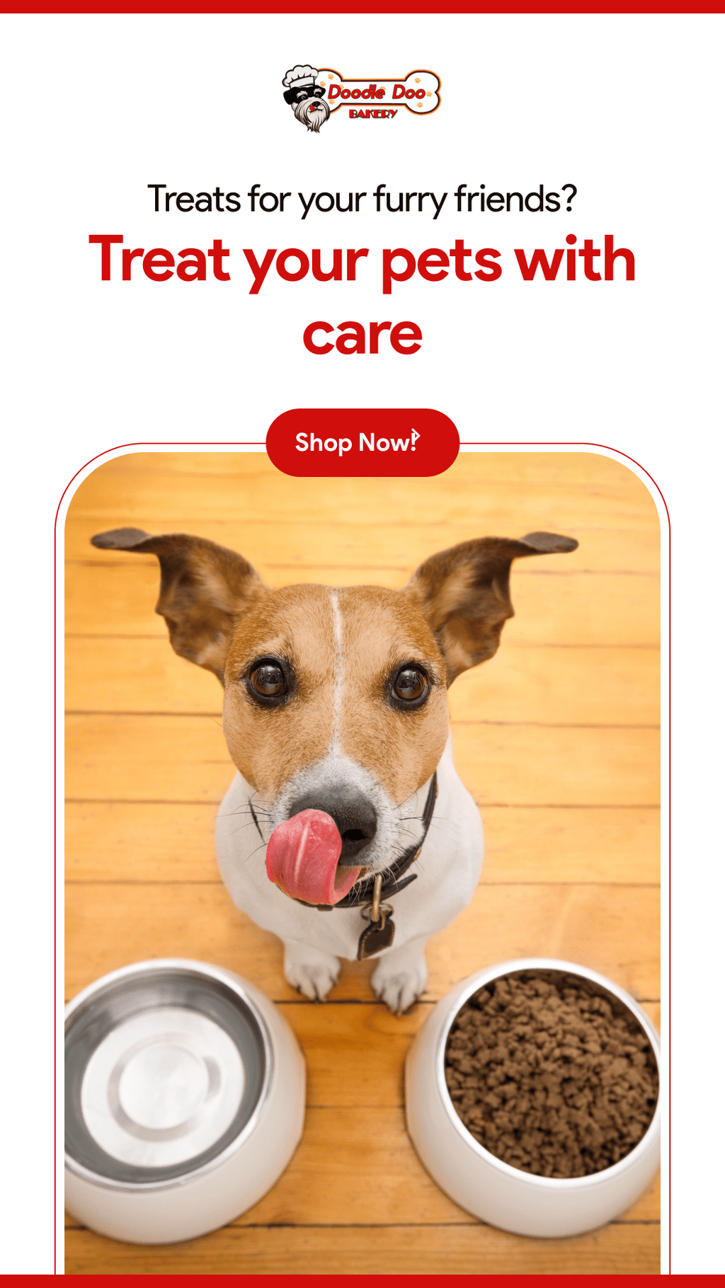 Party Bag Treat Blend 1lb - Homemade Dog Treats - Elite Pet Collective