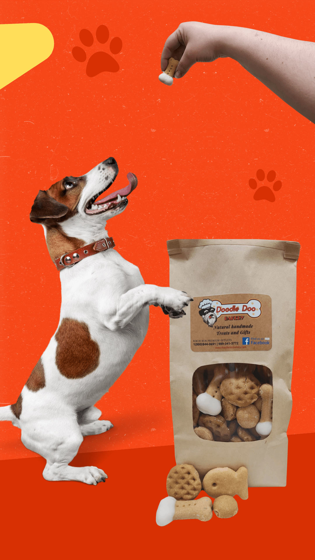 Party Bag Treat Blend 1lb - Homemade Dog Treats - Elite Pet Collective