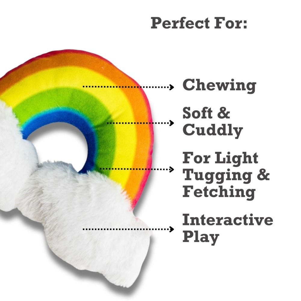 Enchanted Rainbow Magical with Squeaker & Crinkle Paper Plush Dog Toy - Elite Pet Collective