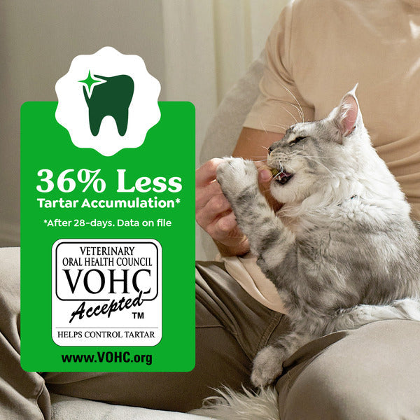 GREENIES Feline Dental Cat Treats, Catnip Flavor Tub - Elite Pet Collective