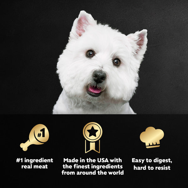 Cesar Loaf in Sauce Adult Wet Dog Food Porterhouse Steak Flavor, 3.5 oz. Tray - Elite Pet Collective
