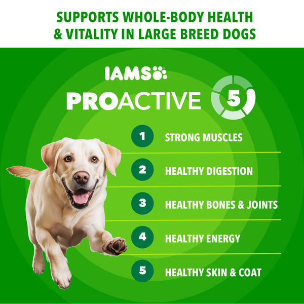 IAMS Proactive Health Large Breed Adult Dry Dog Food Chicken & Whole Grain Recipe, 30 lb. Bag - Elite Pet Collective