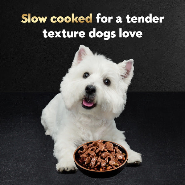 Cesar Filets in Gravy Wet Dog Food Variety Pack - Elite Pet Collective