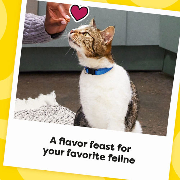 TEMPTATIONS MixUps Crunchy and Soft Cat Treats Backyard Cookout Flavor - Elite Pet Collective