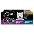 Cesar Filets in Gravy Wet Dog Food Variety Pack - Elite Pet Collective