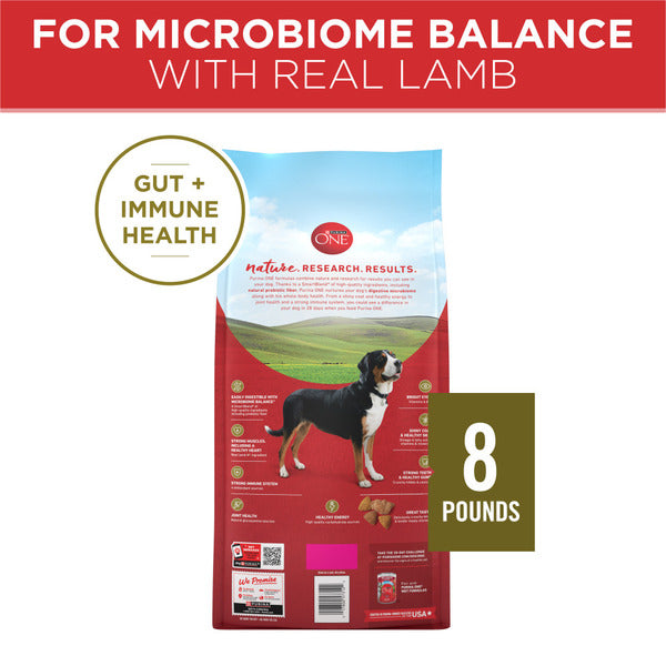 Purina ONE Dry Dog Food Lamb and Rice Formula - Elite Pet Collective