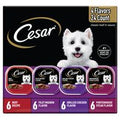 Cesar Loaf in Sauce Adult Wet Dog Food Beef and Ch...
️ - Elite Pet Collective