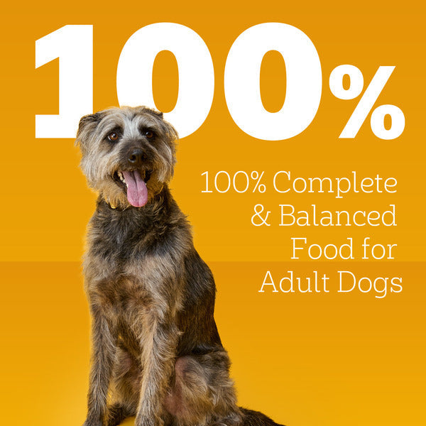 Pedigree Traditional Ground Dinner Chicken & Rice Wet Dog Food - Elite Pet Collective