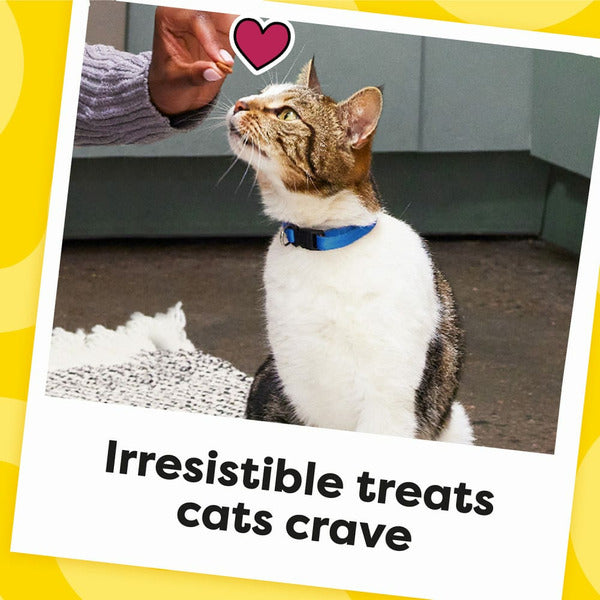 TEMPTATIONS Classic Crunchy and Soft Cat Treats, Rockin’ Lobster Flavor - Elite Pet Collective