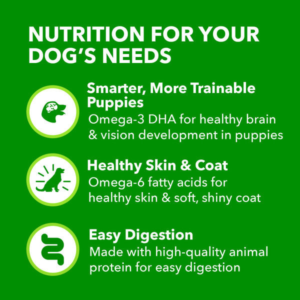 IAMS Proactive Health Puppy Wet Dog Food Classic Ground with Chicken and Rice - Elite Pet Collective