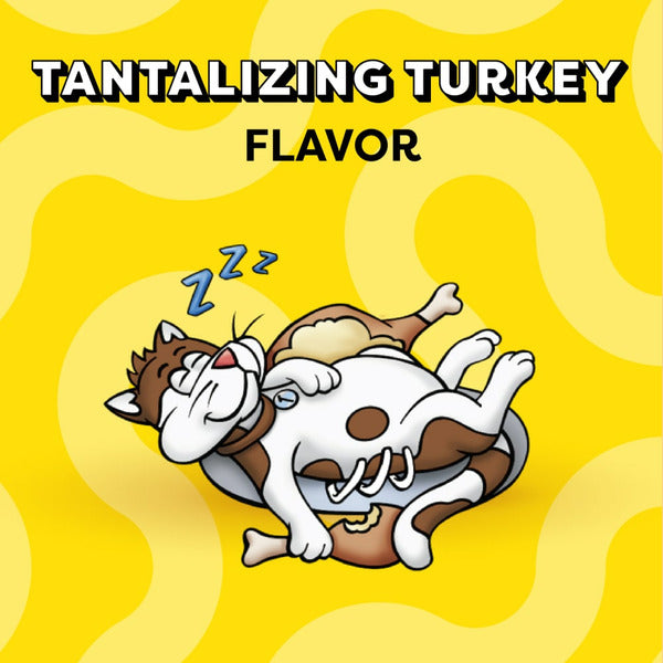 TEMPTATIONS Classic Crunchy and Soft Cat Treats Turkey Flavor - Elite Pet Collective