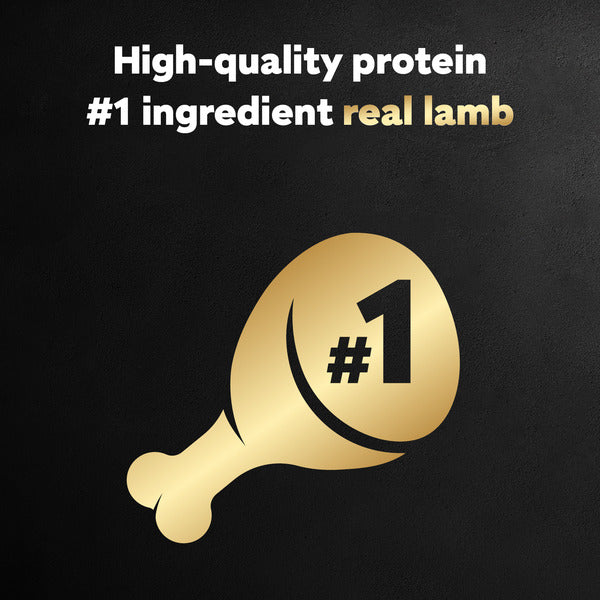 Cesar Loaf in Sauce Adult Wet Dog Food Lamp Recipe, 3.5 oz. Tray - Elite Pet Collective