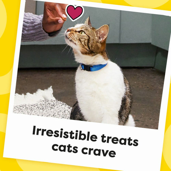TEMPTATIONS Classic Crunchy and Soft Cat Treats Savory Salmon Flavor - Elite Pet Collective
