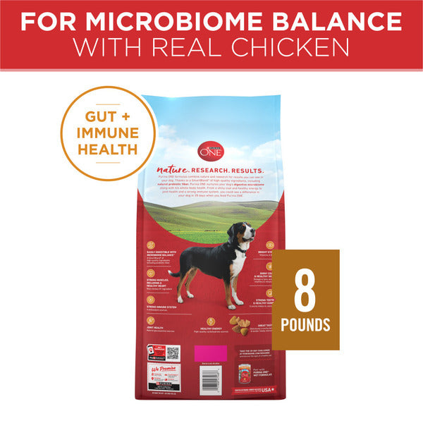Purina ONE Chicken and Rice Formula Dry Dog Food - Elite Pet Collective