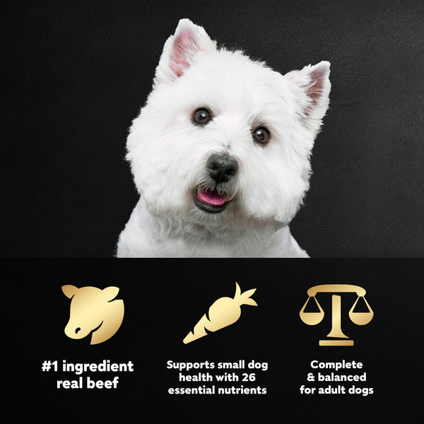 Cesar Small Breed Dry Dog Food Filet Mignon Flavor with Spring Vegetables Garnish, 12 lb. Bag - Elite Pet Collective