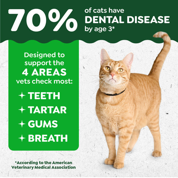 GREENIES Feline Adult Natural Dental Care Cat Treats, Oven Roasted Chicken Flavor - Elite Pet Collective