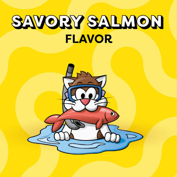 TEMPTATIONS Classic Crunchy and Soft Cat Treats Savory Salmon Flavor - Elite Pet Collective