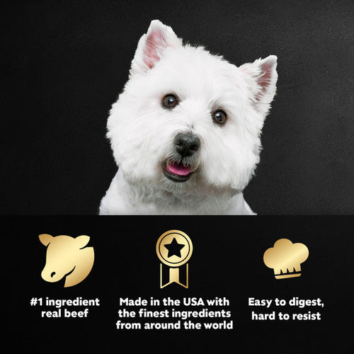 Cesar Loaf in Sauce Adult Wet Dog Food Grilled Steak & Eggs Flavor, 3.5 oz. Tray - Elite Pet Collective