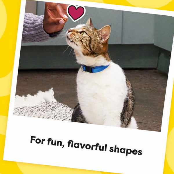TEMPTATIONS Shakeups Crunchy and Soft Cat Treats, Crustacean Celebration Flavor - Elite Pet Collective