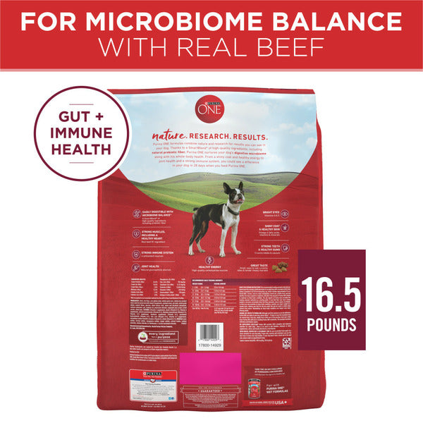 Purina ONE Small Bites Beef and Rice Formula Small Dog Food Dry - Elite Pet Collective