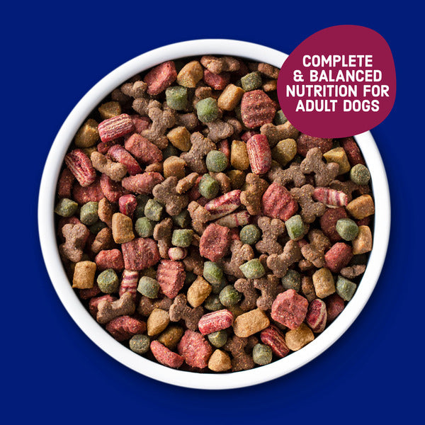 Kibbles 'n Bits Savory Bacon & Steak Flavor Dry Dog Food, 16 lb. Bag - Elite Pet Collective