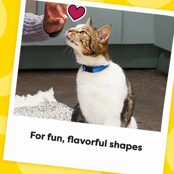 TEMPTATIONS Shakeups Crunchy and Soft Cat Treats, Clucky Carnival Flavor - Elite Pet Collective