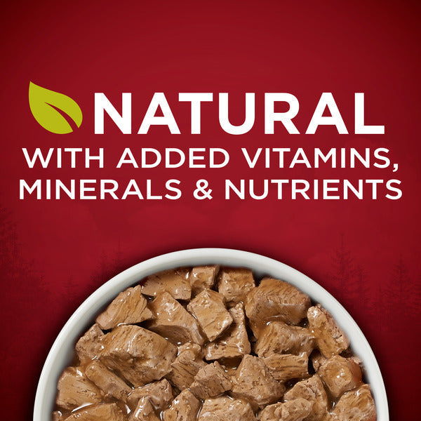 Purina ONE Natural, High Protein Gravy Wet Dog Food, SmartBlend True Instinct Real Turkey & Venison - Elite Pet Collective