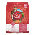 Purina ONE Natural, Sensitive Stomach Dry Dog Food, +Plus Skin & Coat Formula - Elite Pet Collective