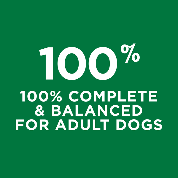 Purina Dog Chow Dry Dog Food, Complete Adult With Real Chicken - Elite Pet Collective