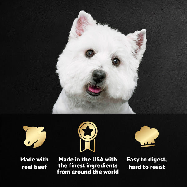 Cesar Filets in Gravy Wet Dog Food Variety Pack - Elite Pet Collective