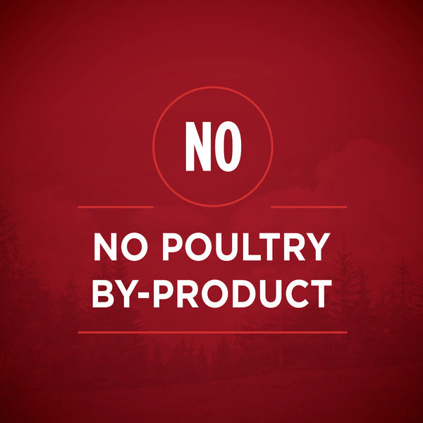 Purina ONE Natural, High Protein Gravy Wet Dog Food, SmartBlend True Instinct Real Turkey & Venison - Elite Pet Collective
