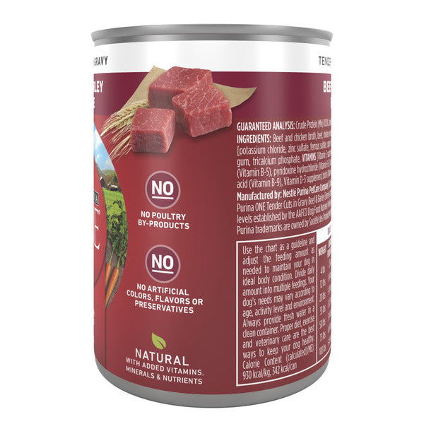 Purina ONE Tender Cuts in Gravy Beef and Barley Entree in Wet Dog Food Gravy - Elite Pet Collective
