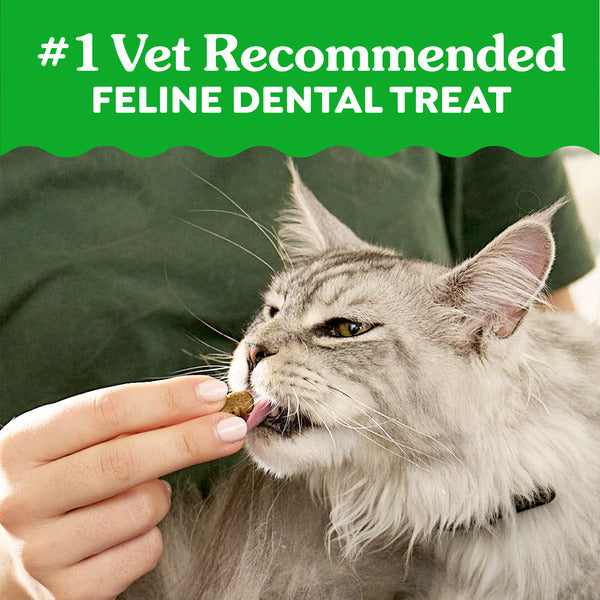 GREENIES Dental Cat Treats, Oven-Roasted Chicken Flavor