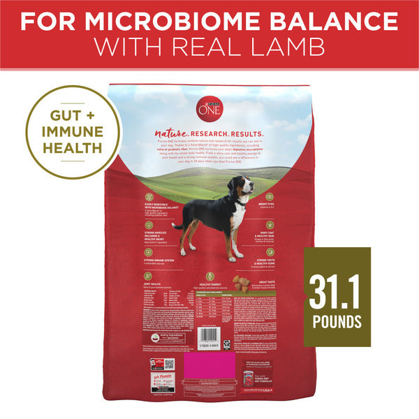 Purina ONE Dry Dog Food Lamb and Rice Formula - Elite Pet Collective