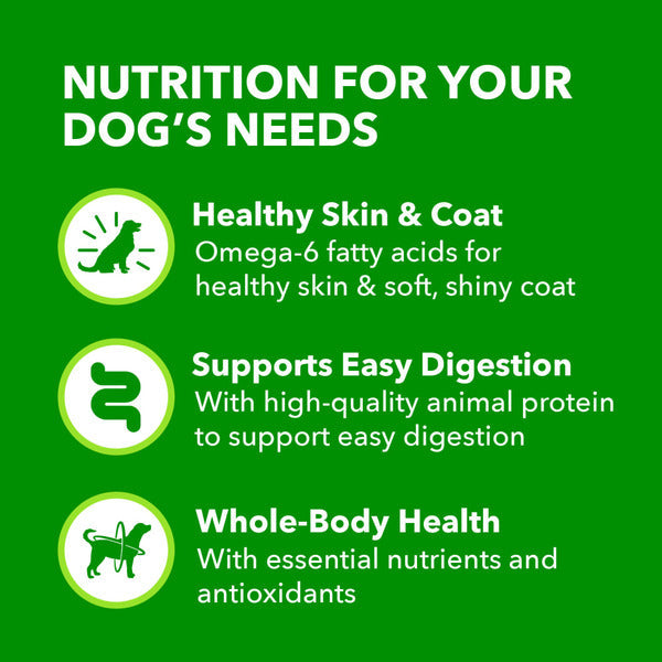 IAMS Proactive Health Adult Wet Dog Food Classic Ground with Lamb & Whole Grain Rice - Elite Pet Collective