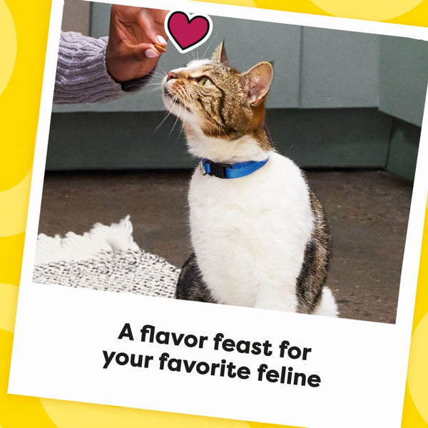TEMPTATIONS MixUps Crunchy and Soft Cat Treats Backyard Cookout Flavor - Elite Pet Collective