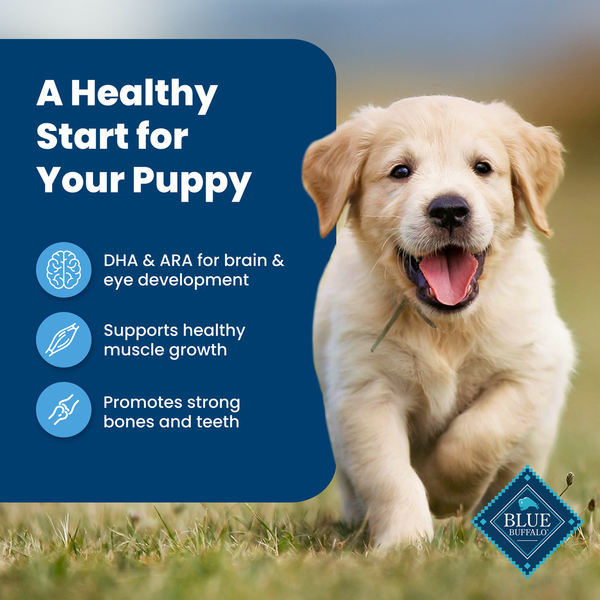 Blue Buffalo Life Protection Formula Natural Puppy Dry Dog Food, Chicken and Brown Rice - Elite Pet Collective