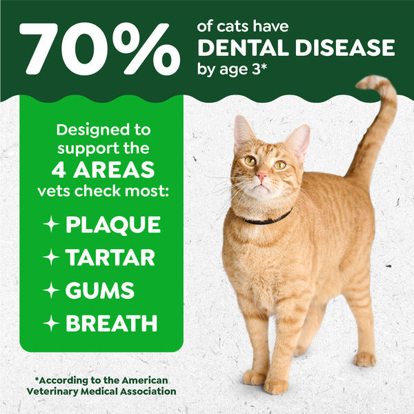 GREENIES Feline Dental Cat Treats, Catnip Flavor Tub - Elite Pet Collective