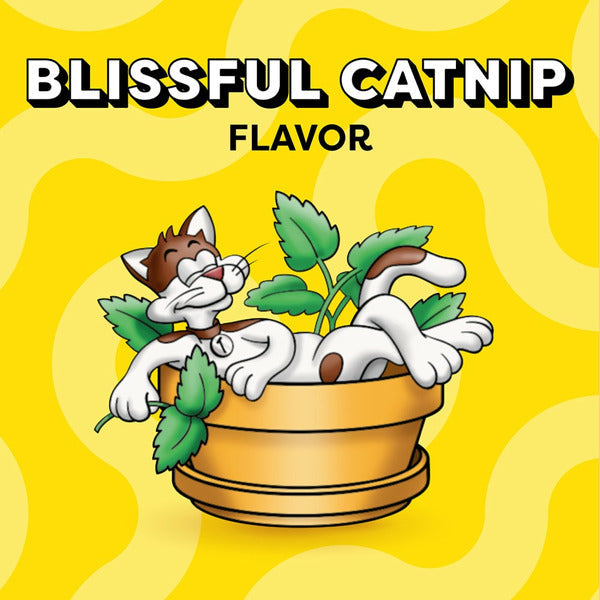 TEMPTATIONS Classic Crunchy and Soft Cat Treats Blissful Catnip Flavor - Elite Pet Collective
