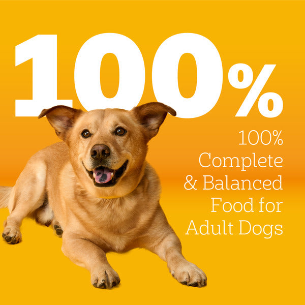 Pedigree Adult Small Dog Dry Dog Food, Roasted Chicken and Vegetable Flavor, 3.5 lb. Bag - Elite Pet Collective