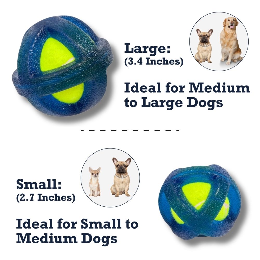 TPR-Coated Agility Tennis Ball Dog Toy – Durable & Pet-Safe - Elite Pet Collective