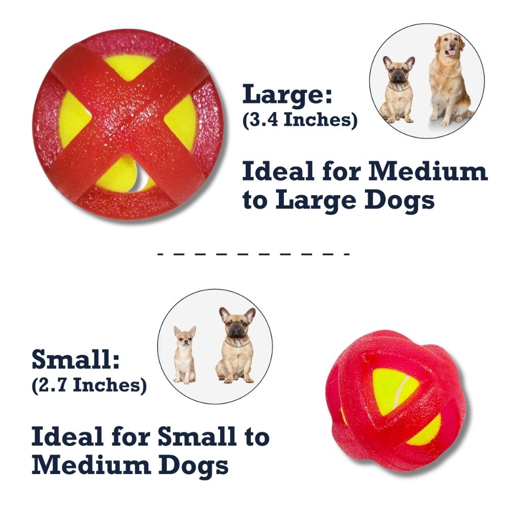 TPR-Coated Agility Tennis Ball Dog Toy – Durable & Pet-Safe - Elite Pet Collective