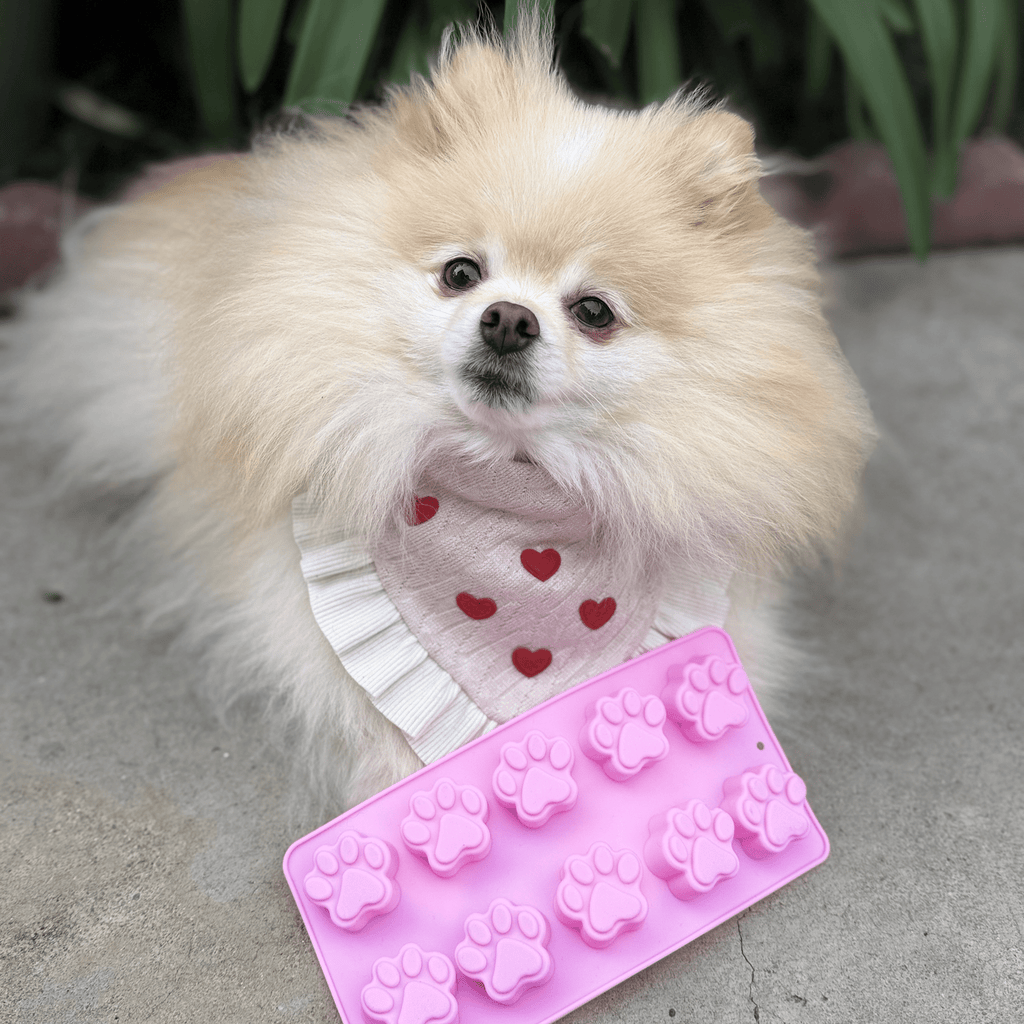 Pet Treat Molds - Elite Pet Collective