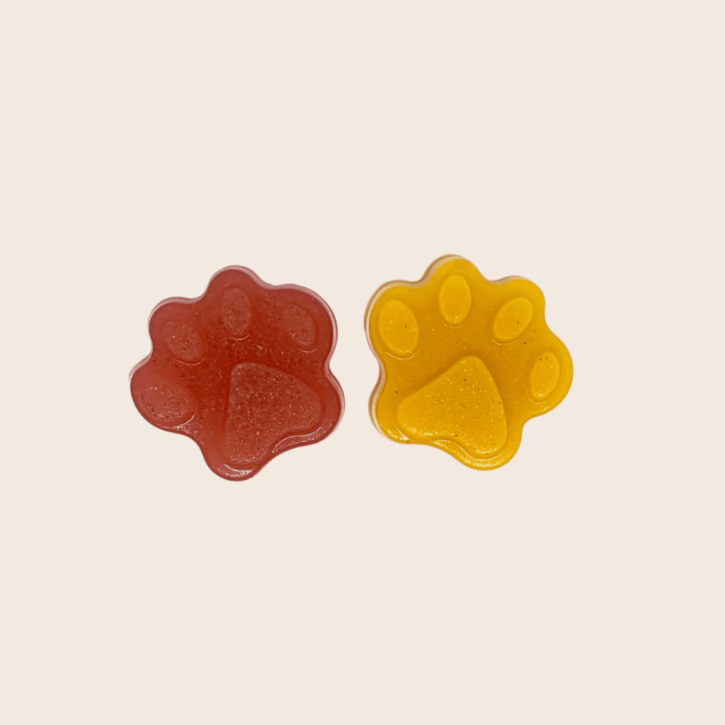 Pet Treat Molds - Elite Pet Collective