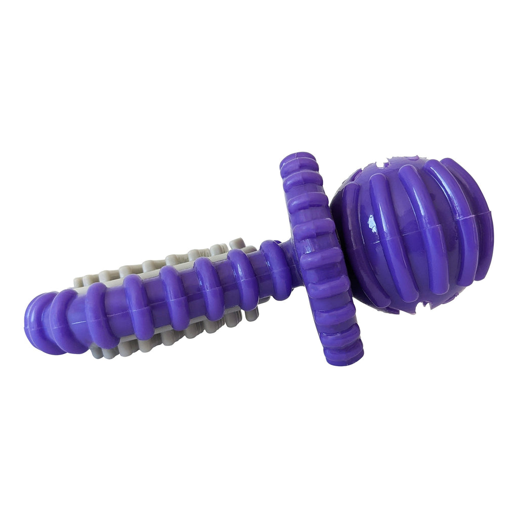 Purple Rubber Dental Pacifier Dog Toy – Ridges, Treat Hole & Durable Design - Elite Pet Collective
