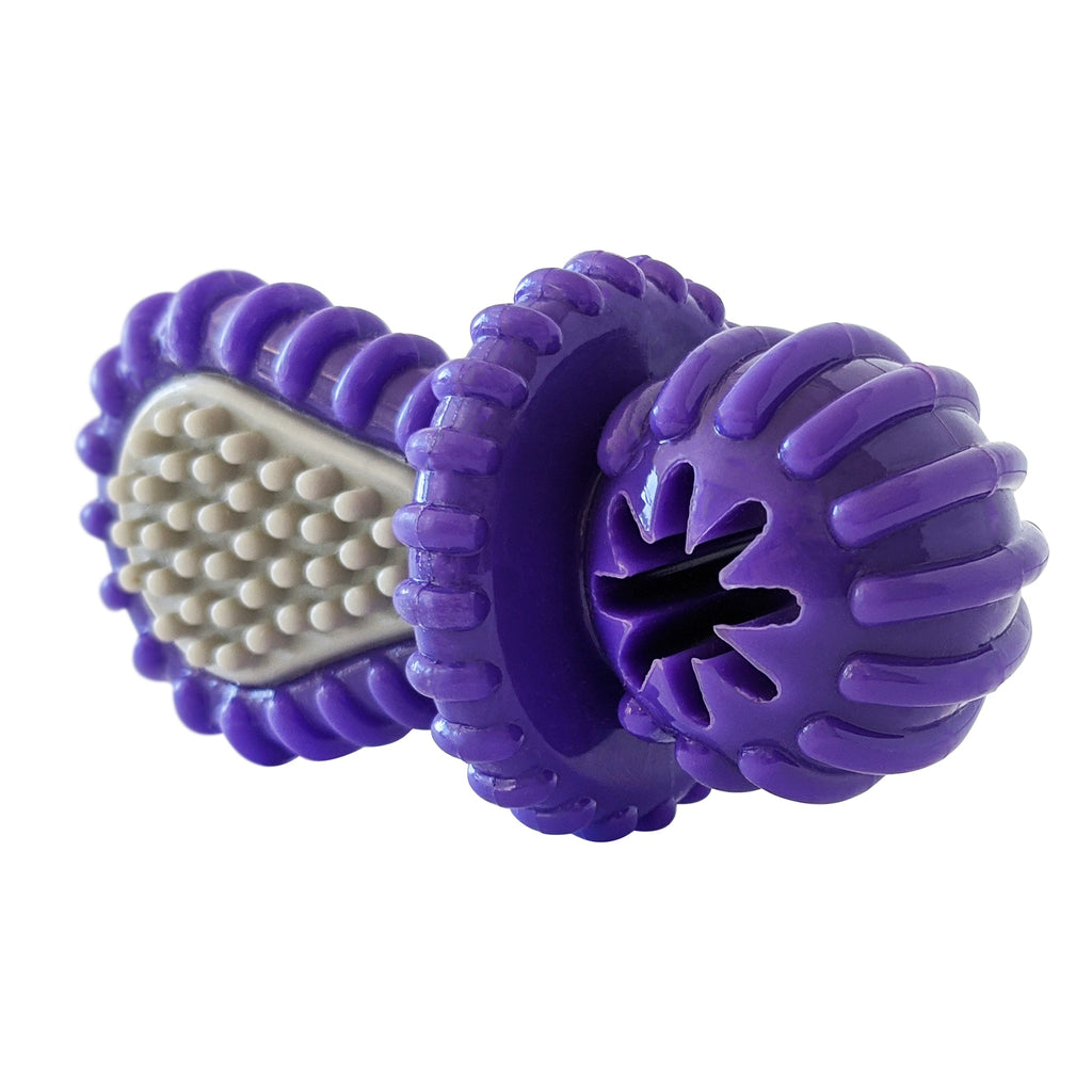 Purple Rubber Dental Pacifier Dog Toy – Ridges, Treat Hole & Durable Design - Elite Pet Collective