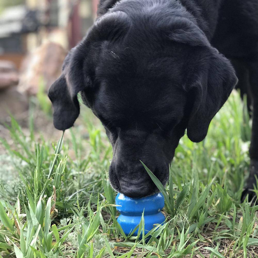 Double Trouble Dog Toy - Dual Chamber Treat Dispenser for Large Dogs | USA Made - Elite Pet Collective