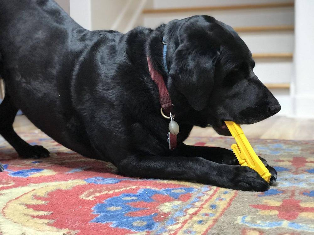 Pipe Wrench Nylon Dog Toy for Aggressive Chewers | USA Made | SodaPup - Elite Pet Collective